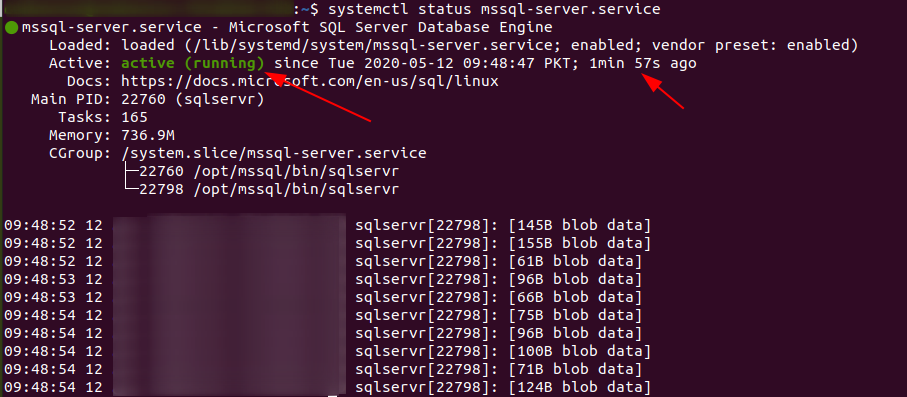Install SQL Server 2019 in Ubuntu 20.04 LTS